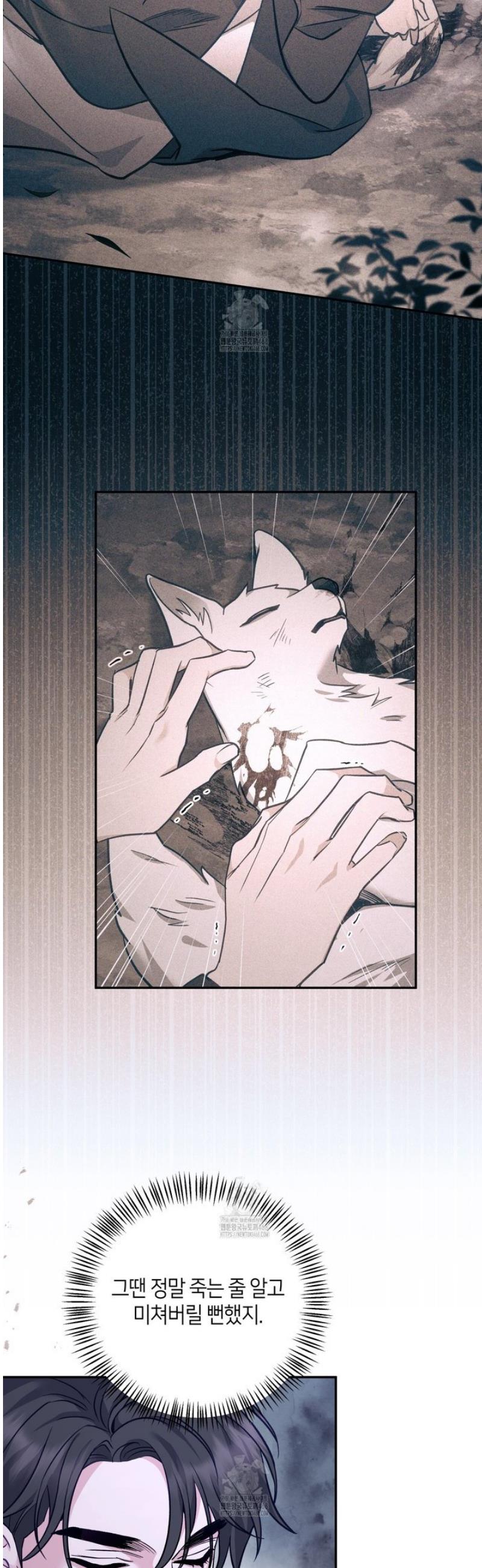 003.jpg