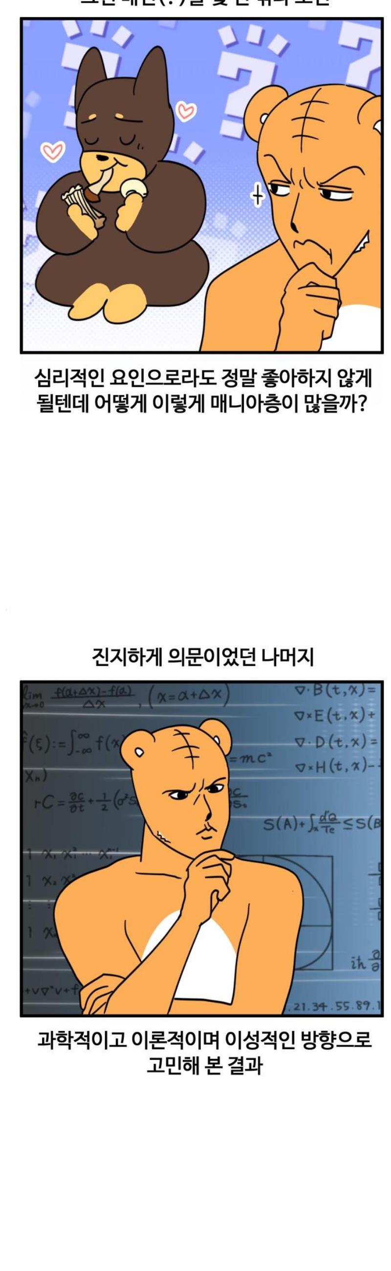 009.jpg
