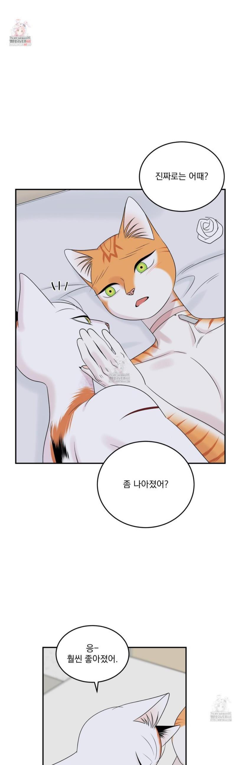 001.jpg