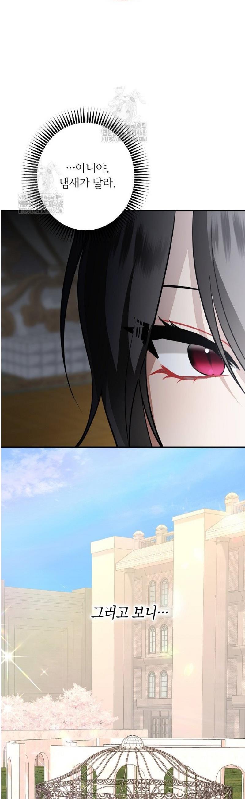 006.jpg