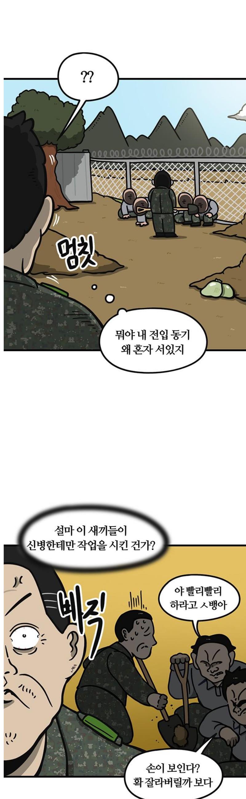 010.jpg