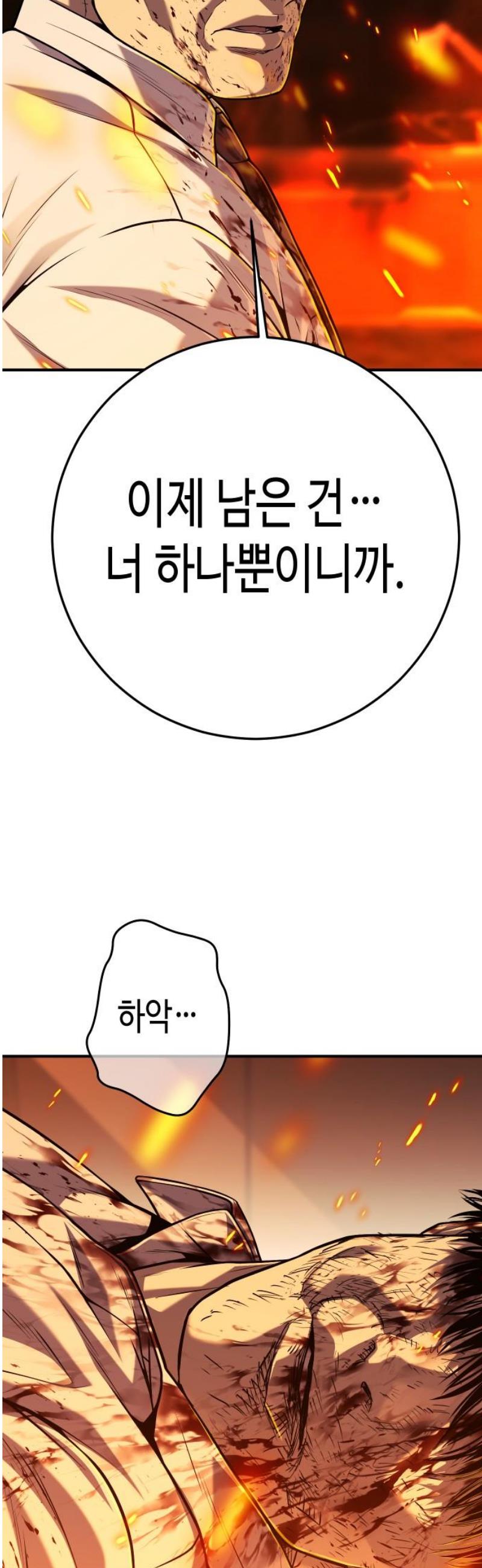 031.jpg