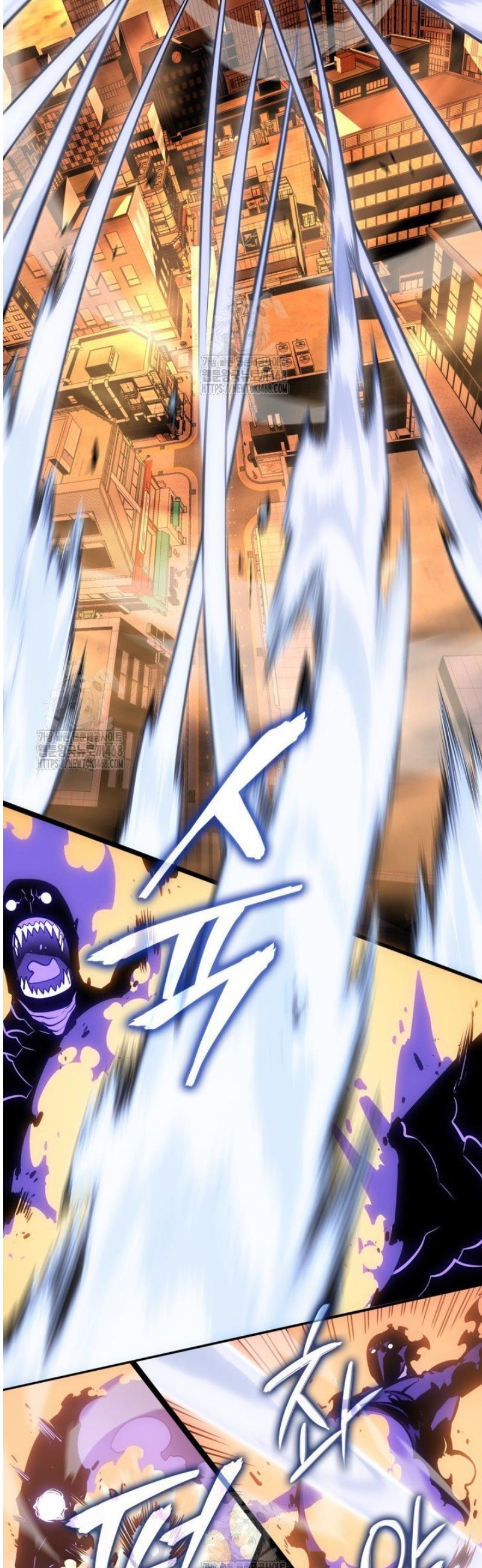 031.jpg