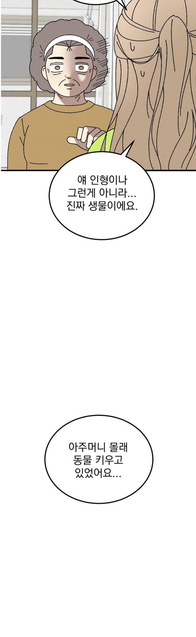 008.jpg