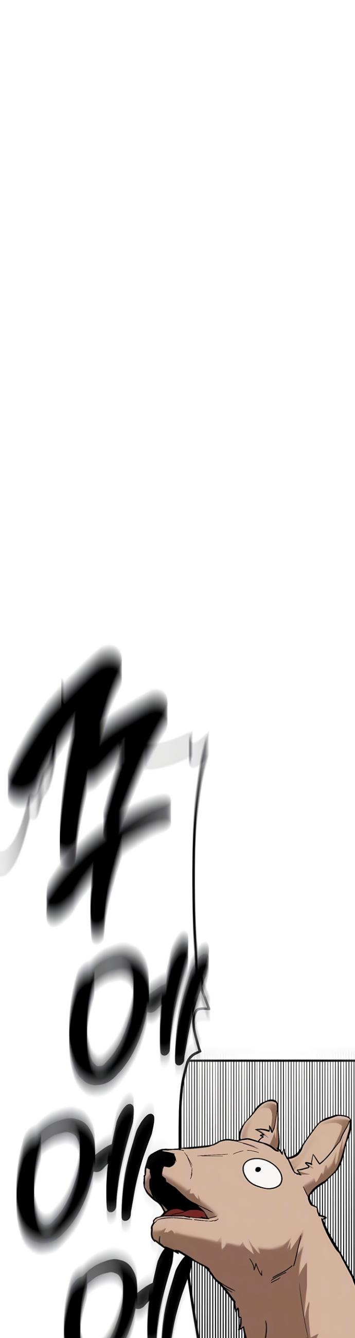 005.jpg