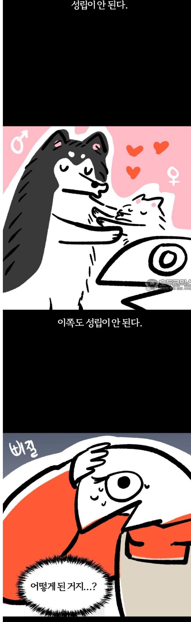 006.jpg