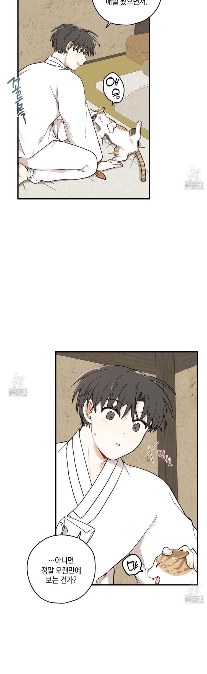 006.jpg