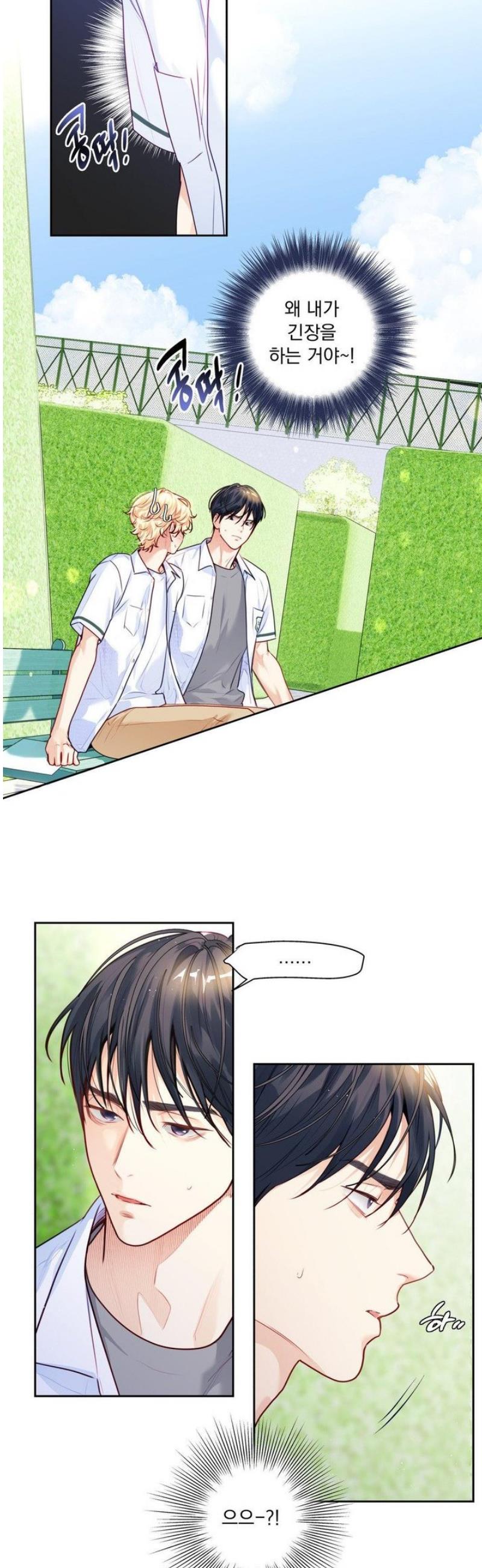 005.jpg
