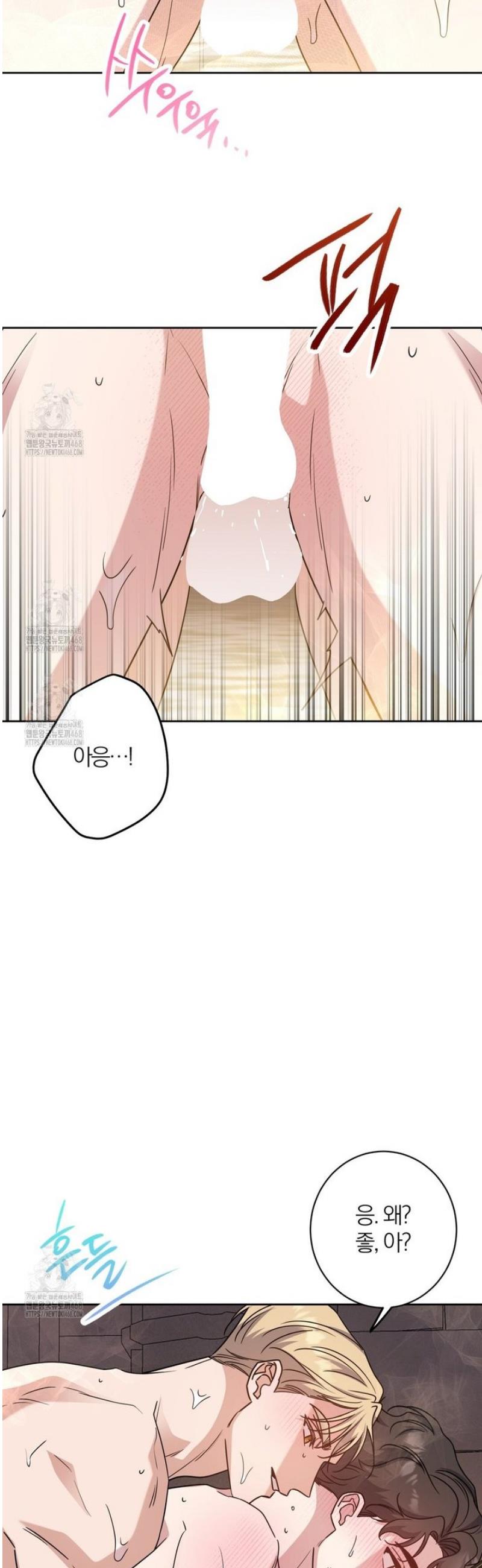 010.jpg