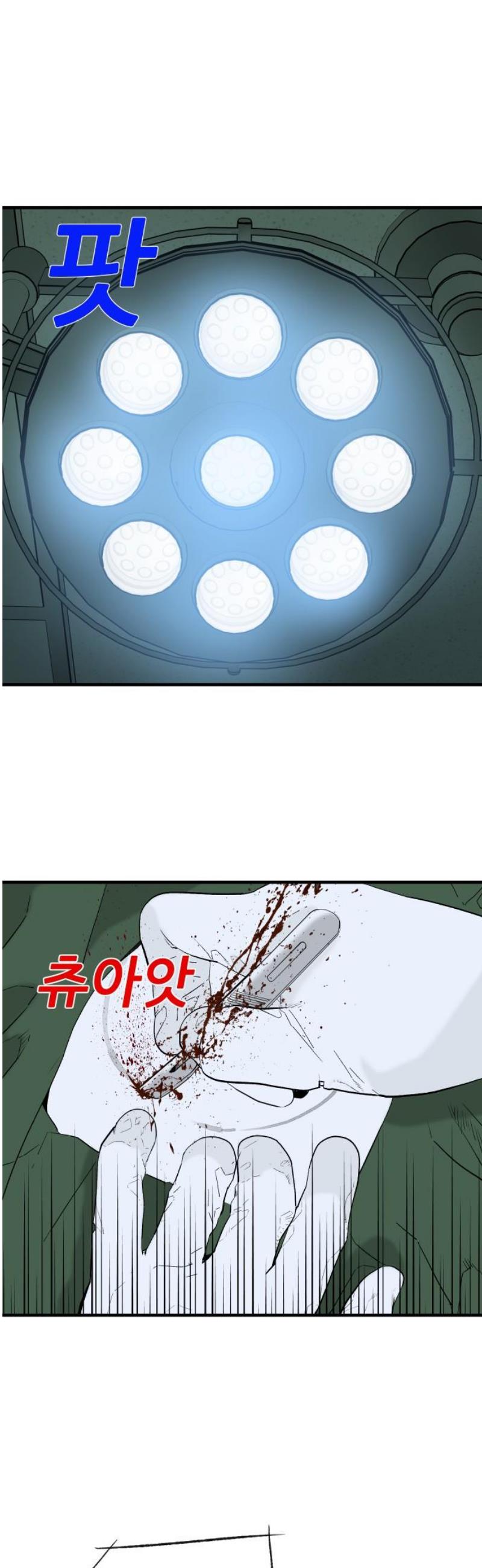 005.jpg