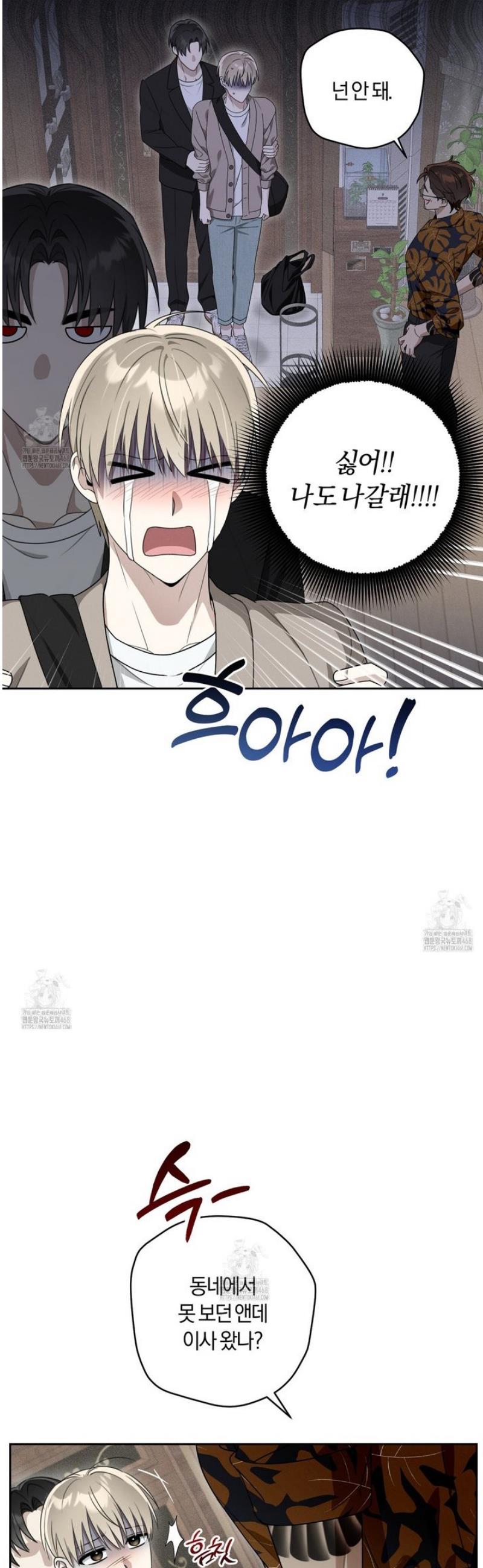 008.jpg