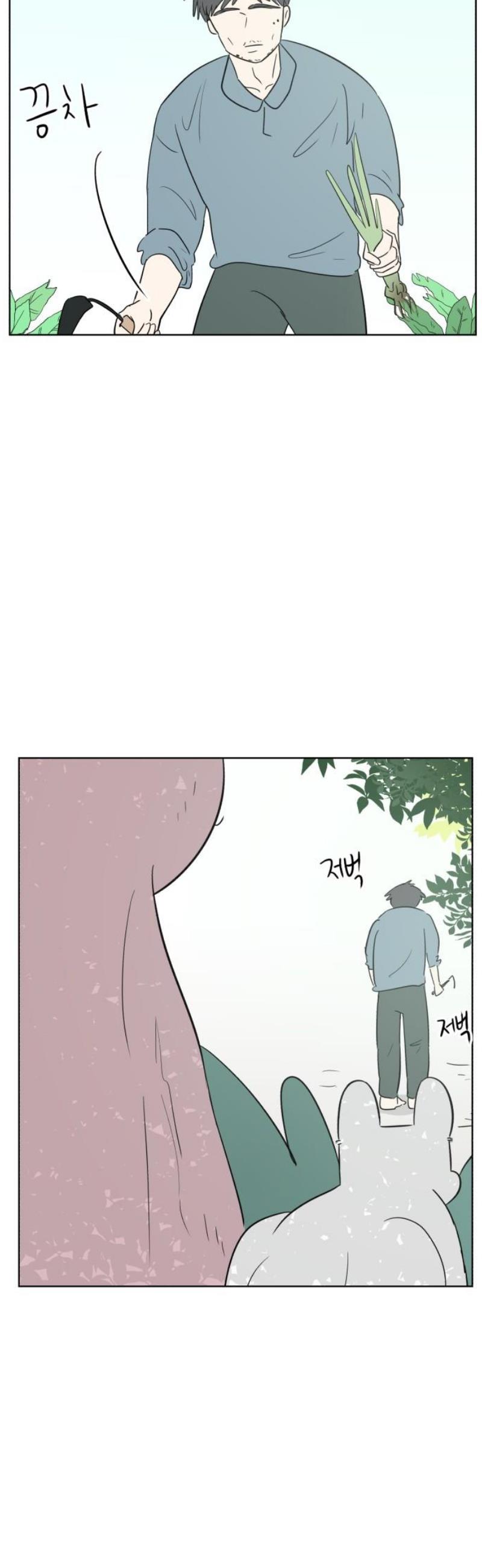 006.jpg