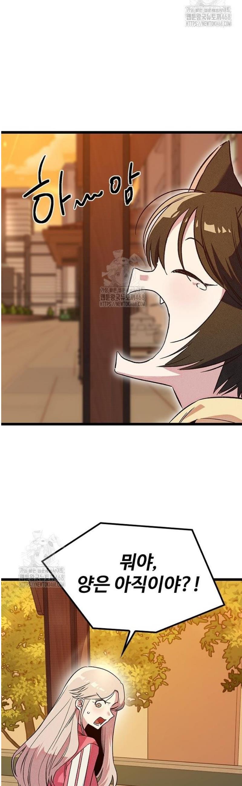 005.jpg