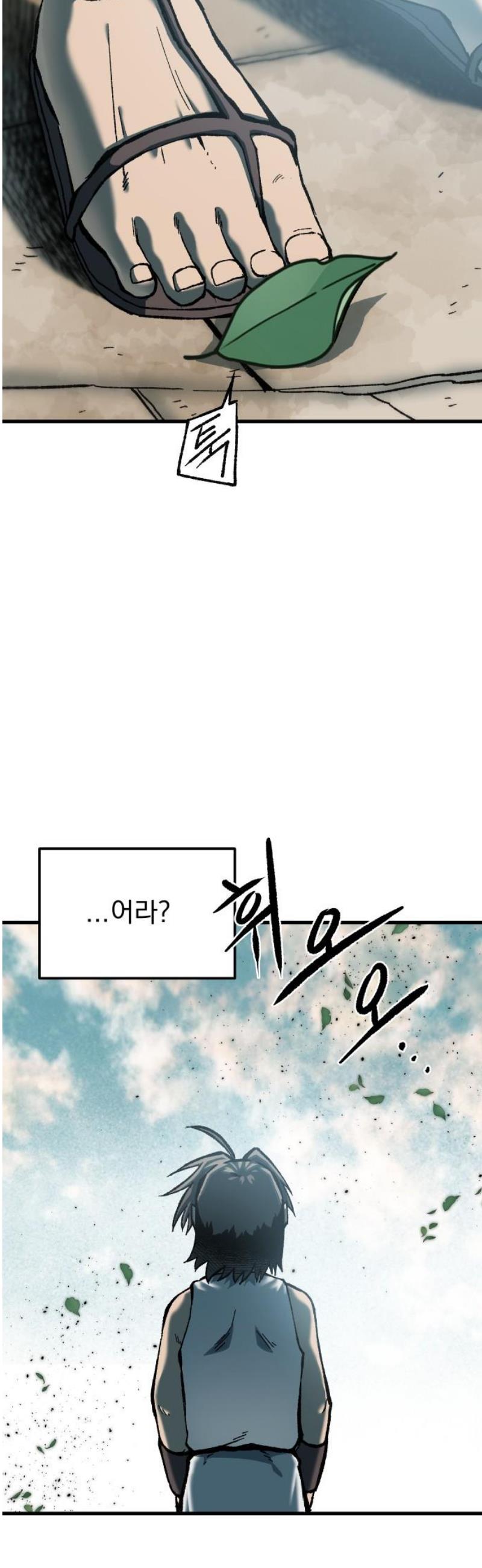 005.jpg