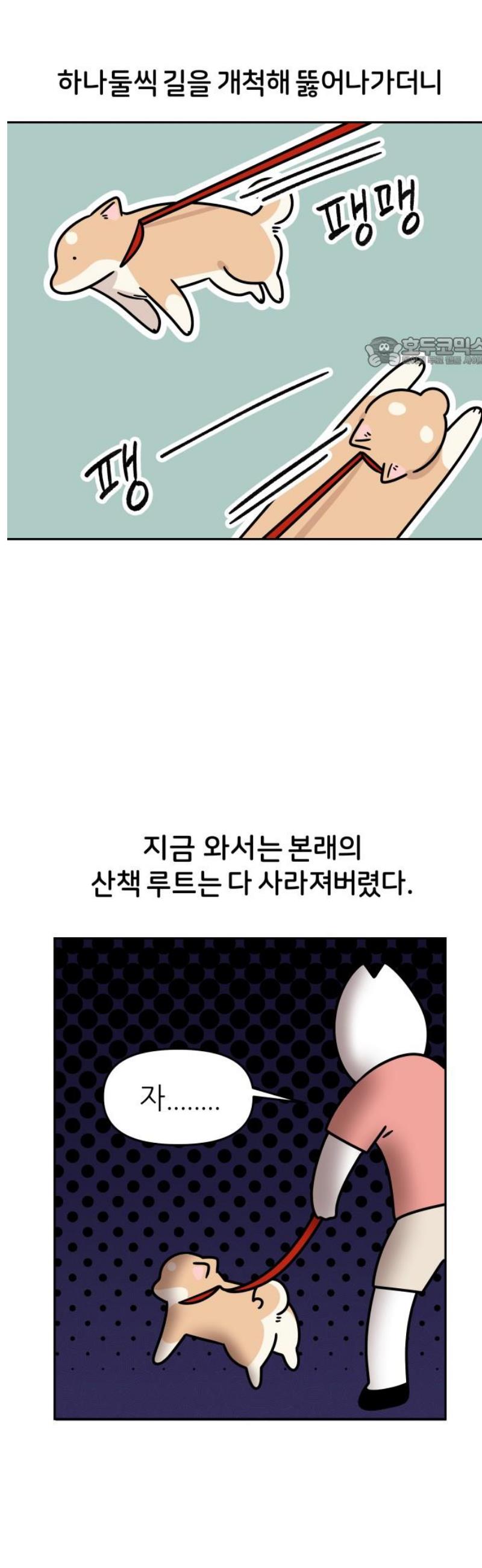 009.jpg