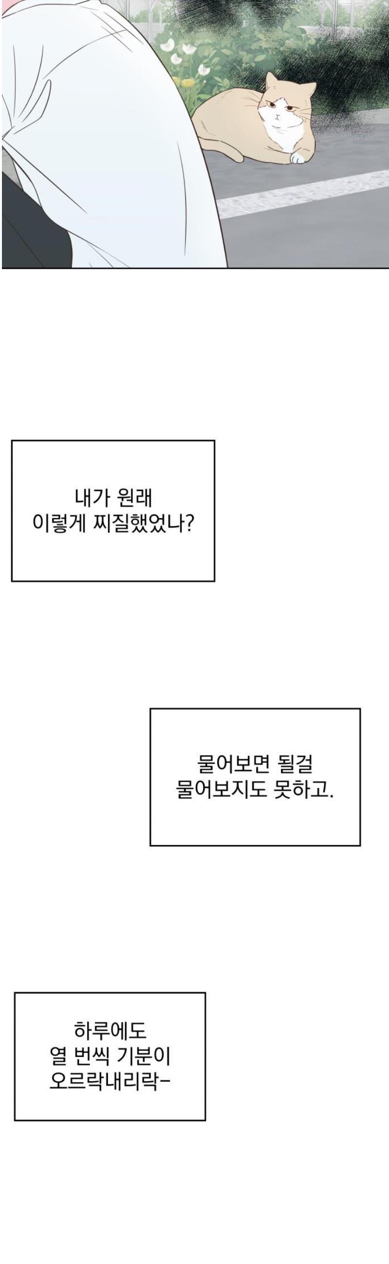 021.jpg