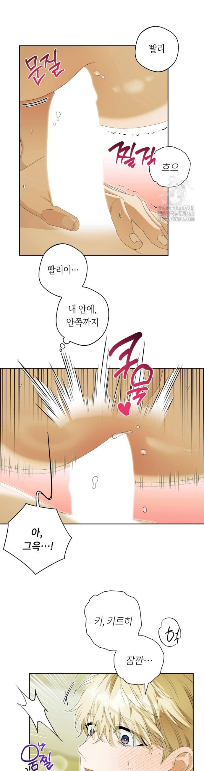 003.jpg