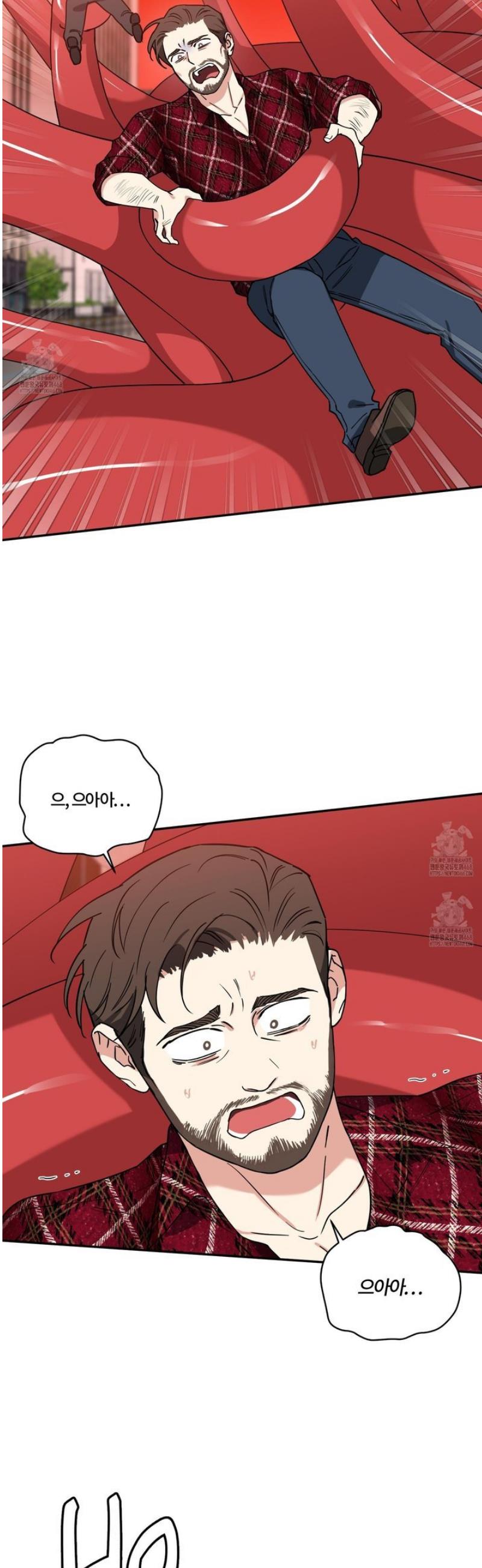 006.jpg