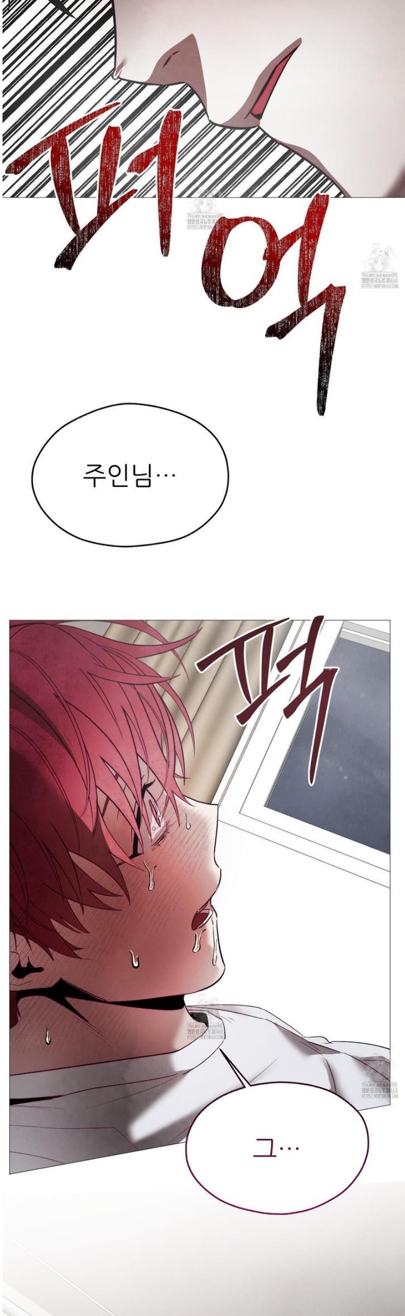 003.jpg