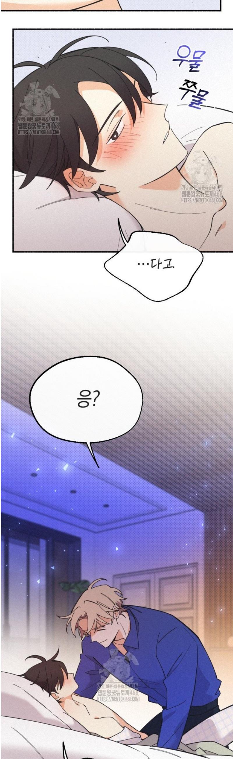 006.jpg