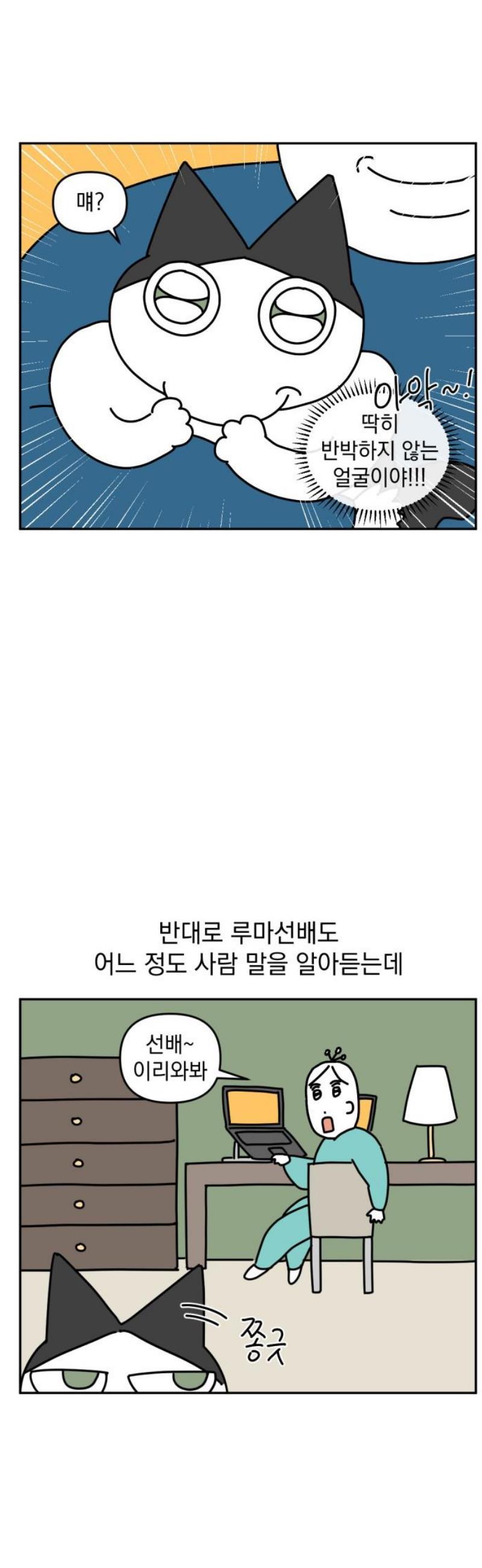 009.jpg