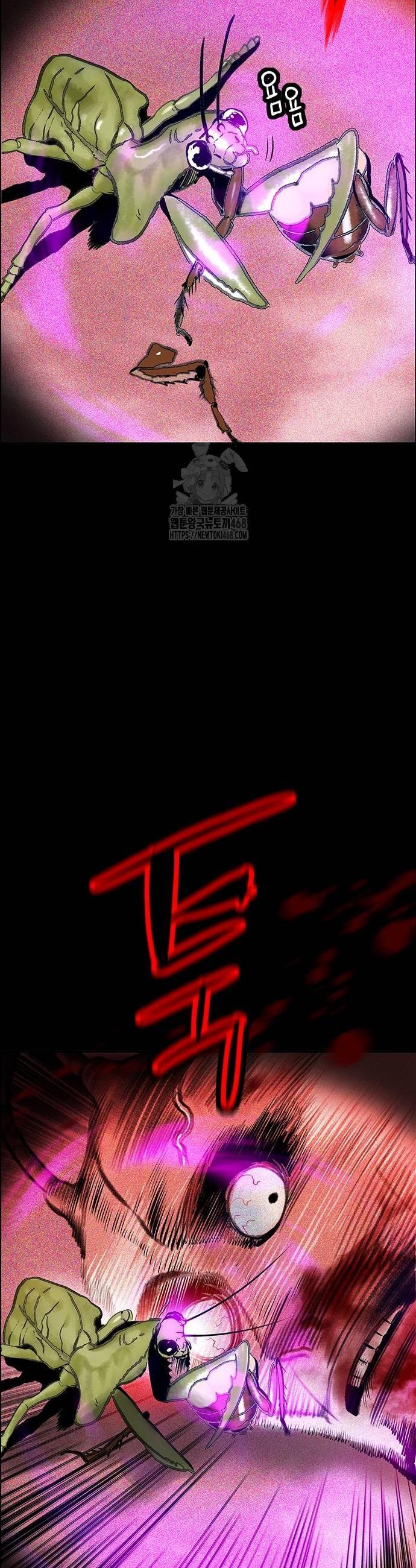 009.jpg
