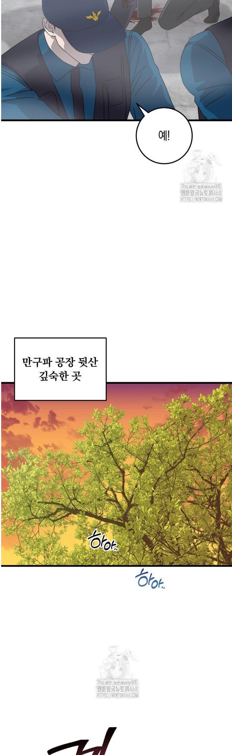 006.jpg