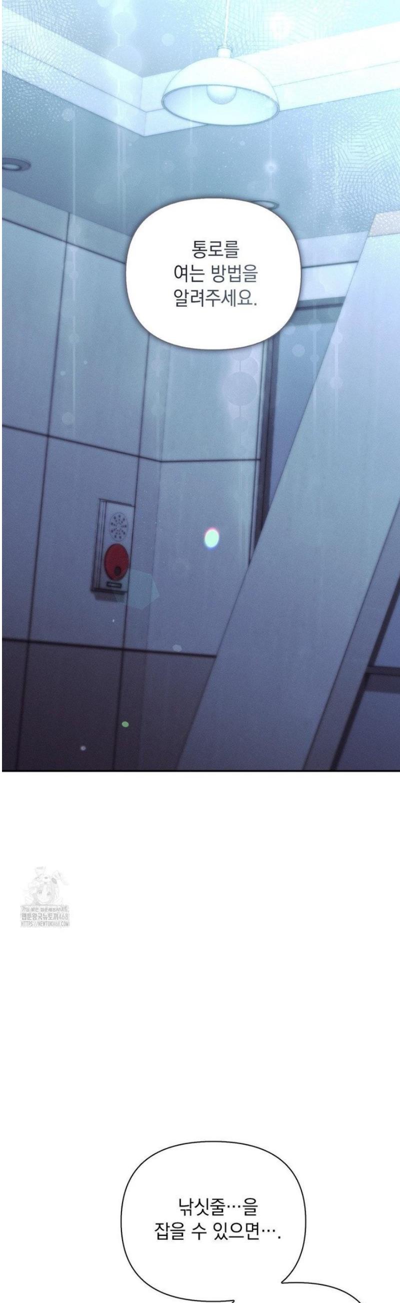 031.jpg