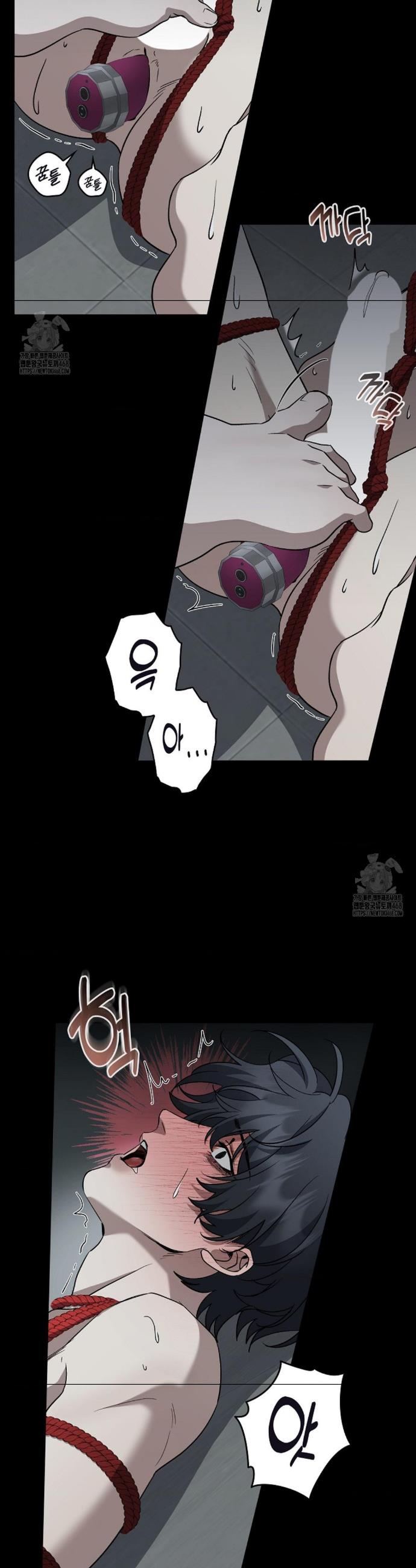 006.jpg