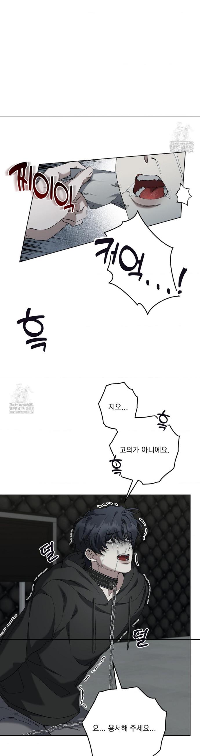 005.jpg