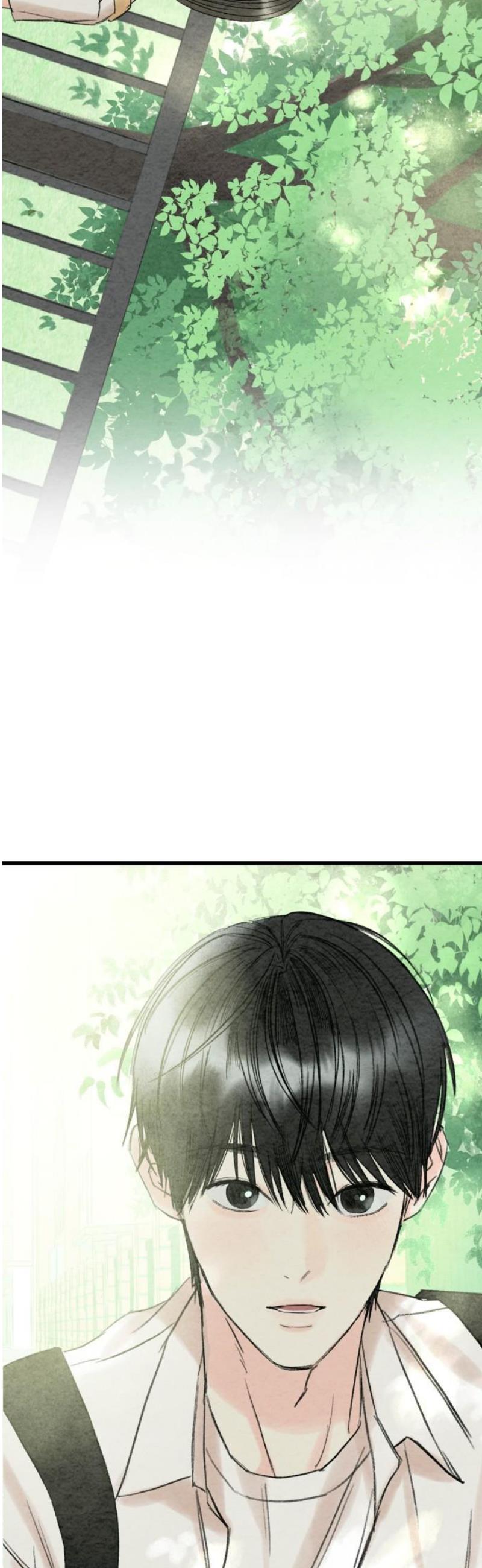 005.jpg