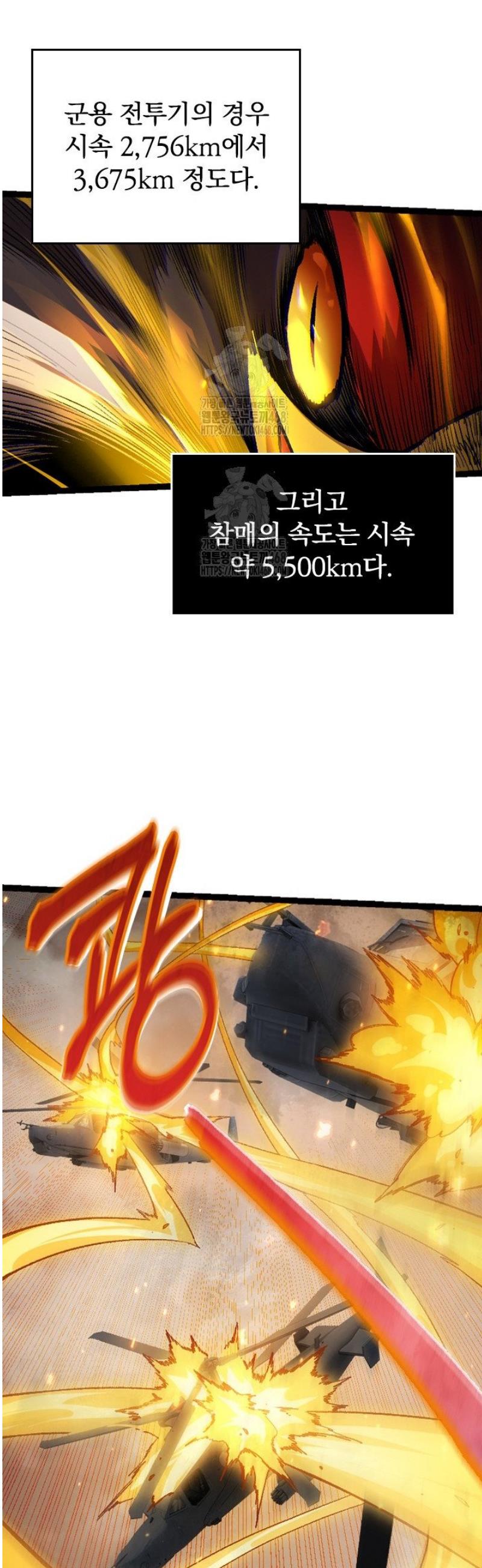 012.jpg