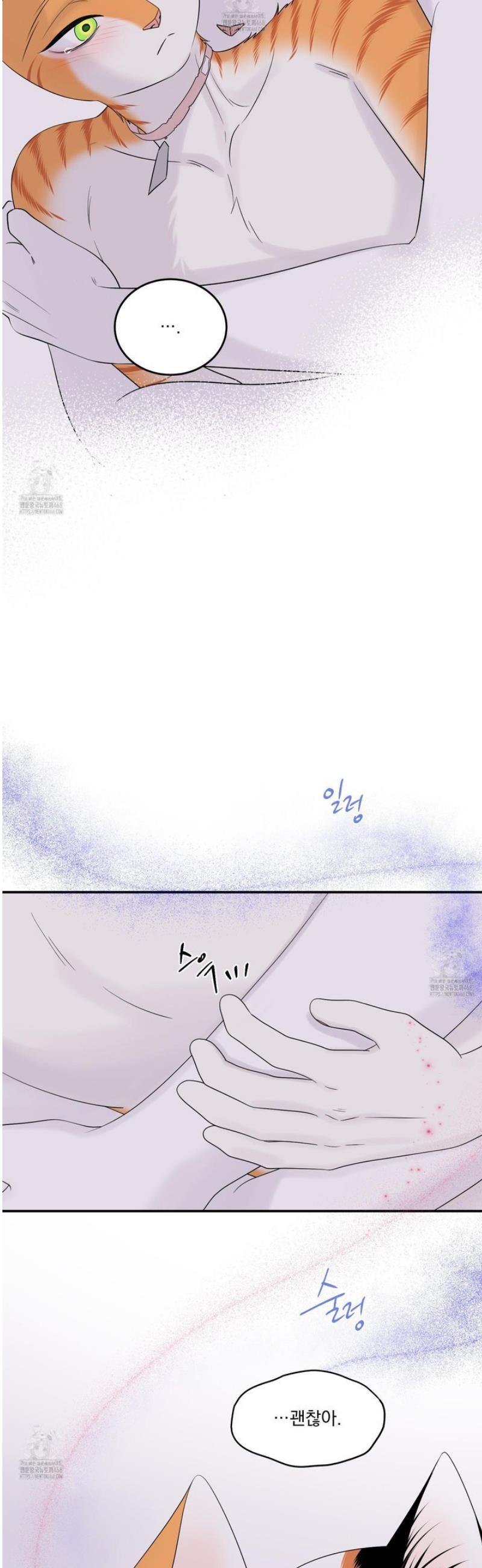 009.jpg