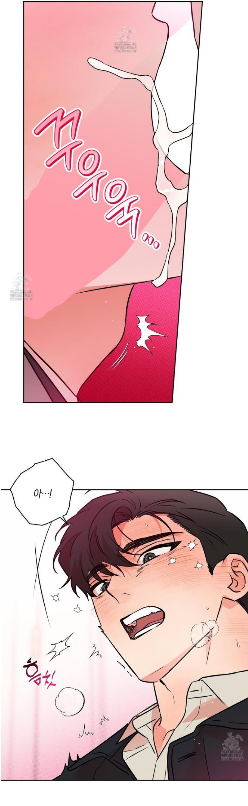 005.jpg