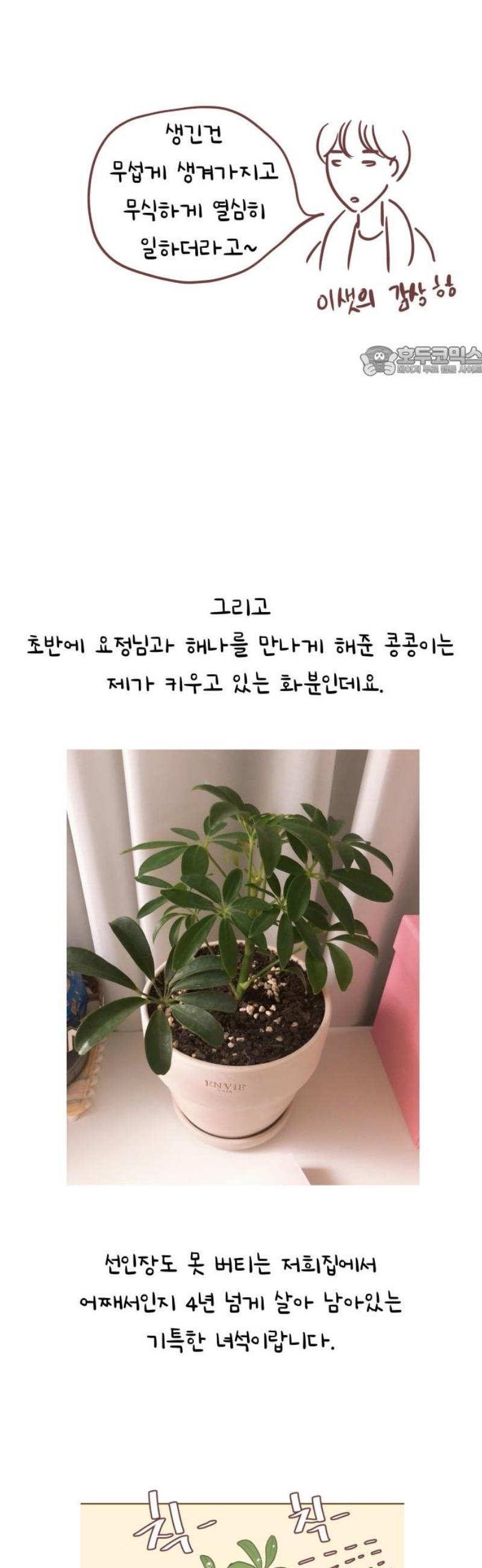 009.jpg