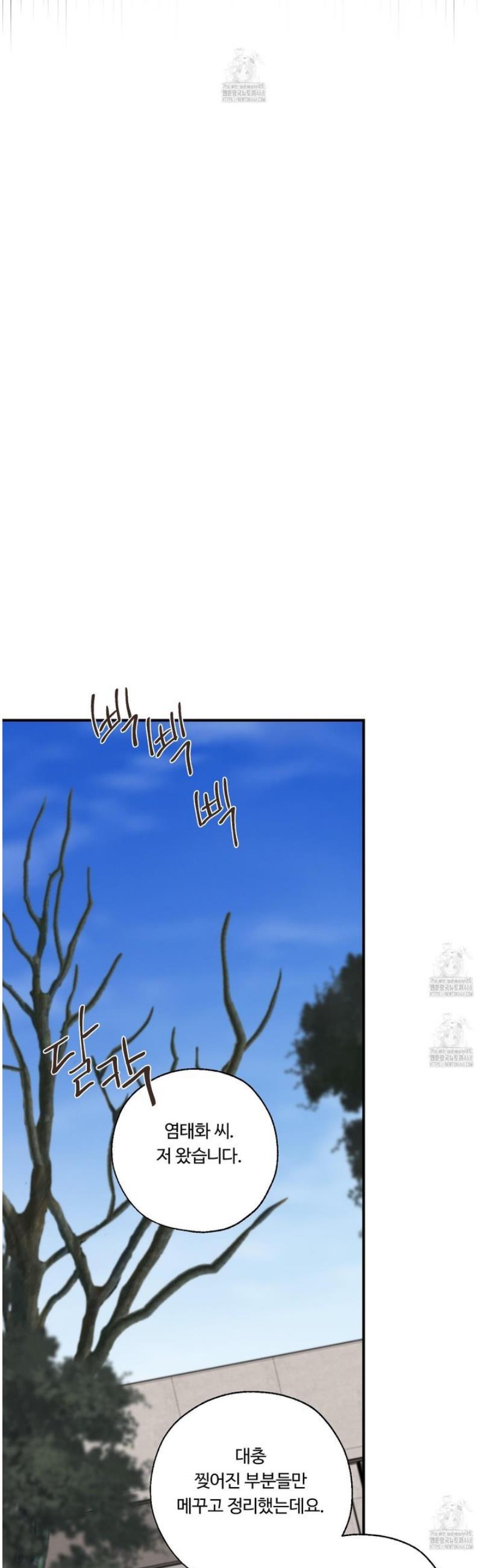 009.jpg