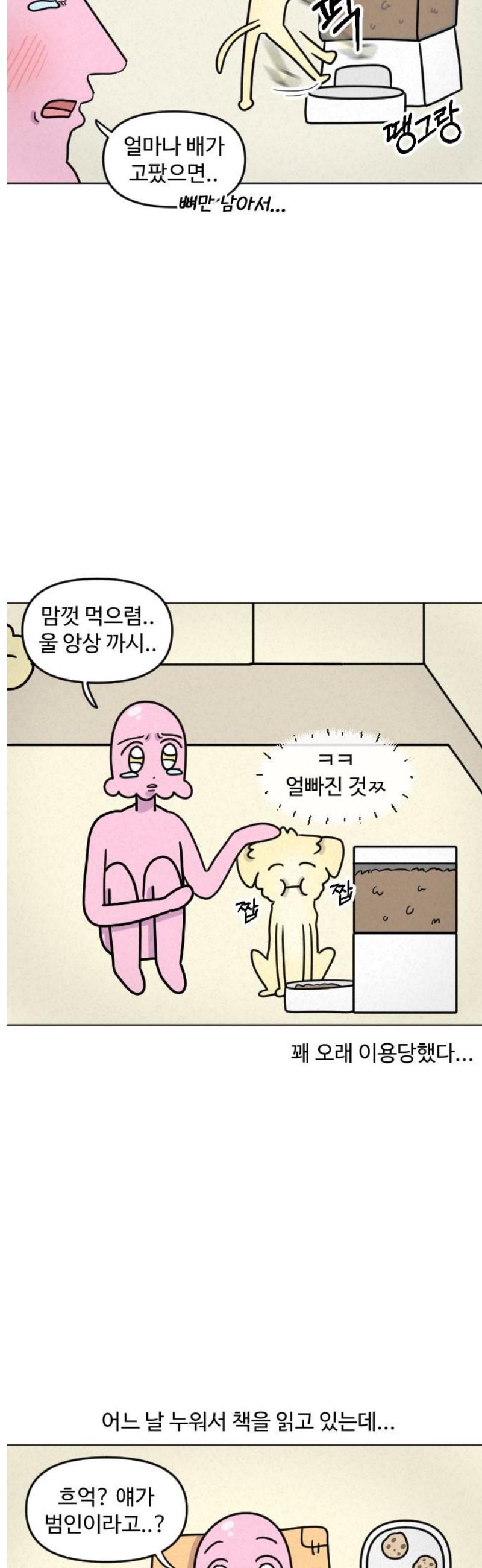 009.jpg