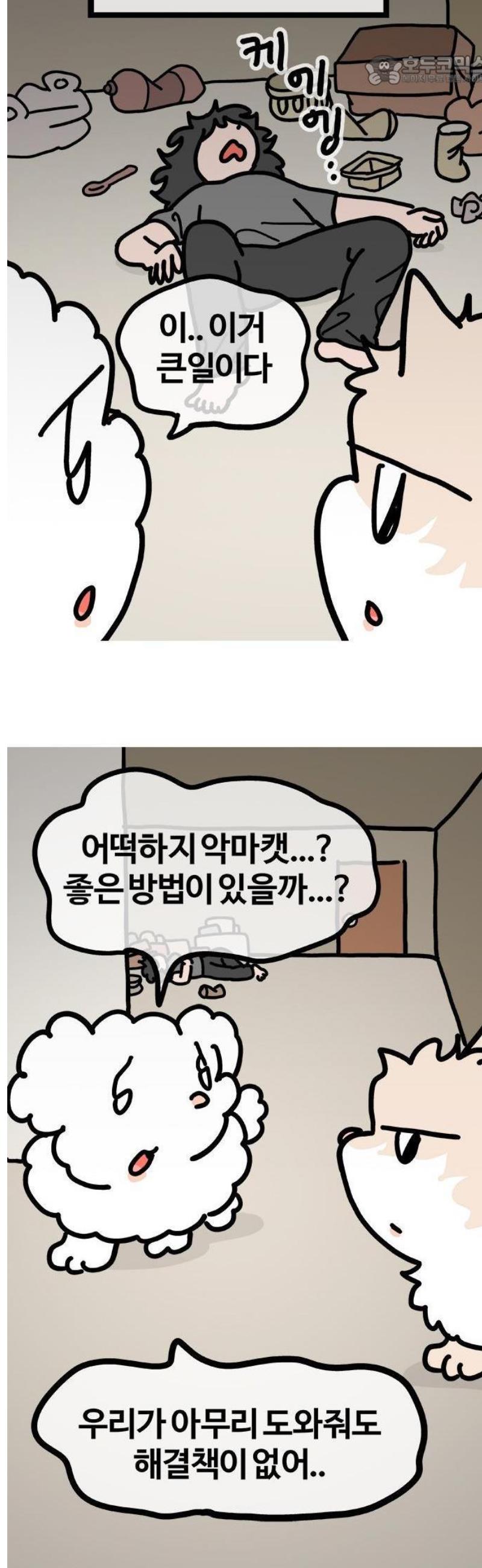 006.jpg