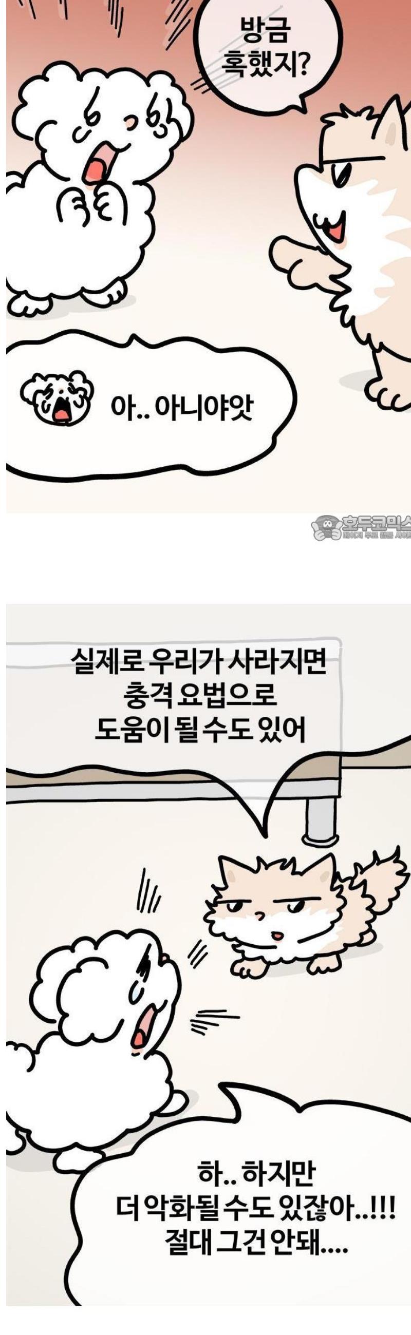 009.jpg