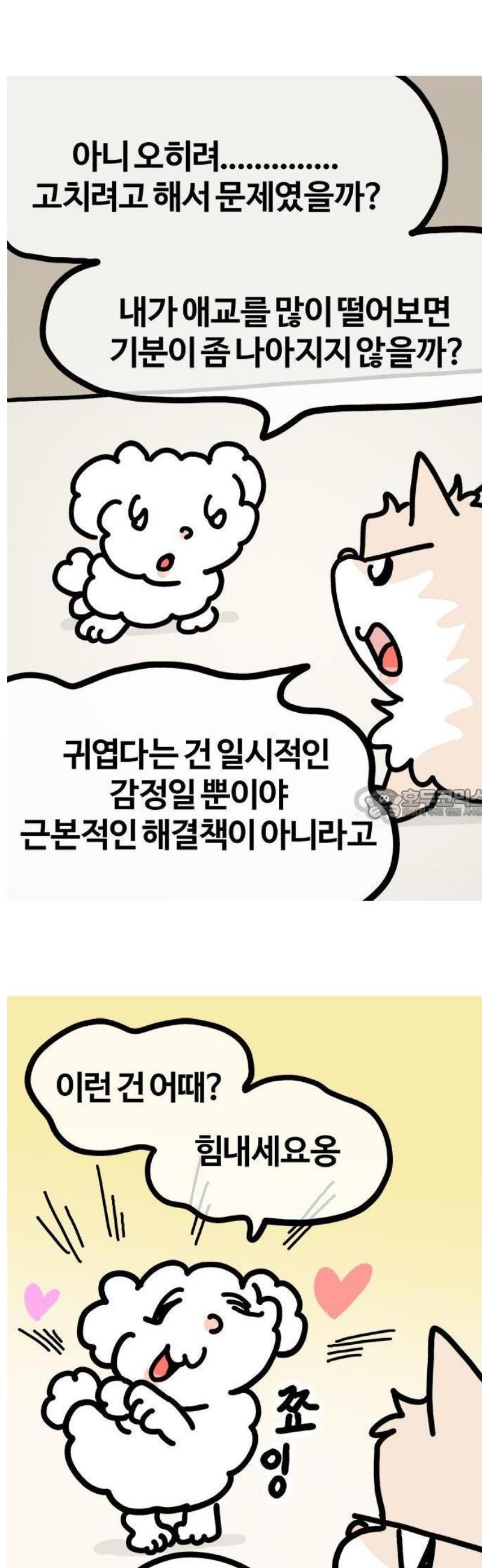 010.jpg