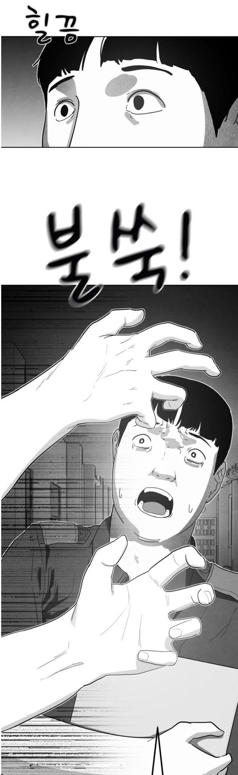 003.jpg