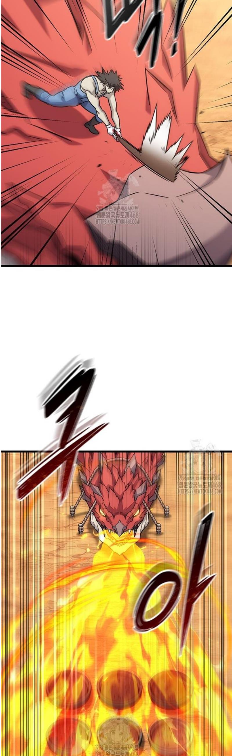 005.jpg