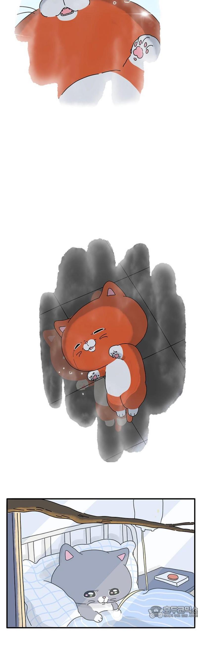 004.jpg