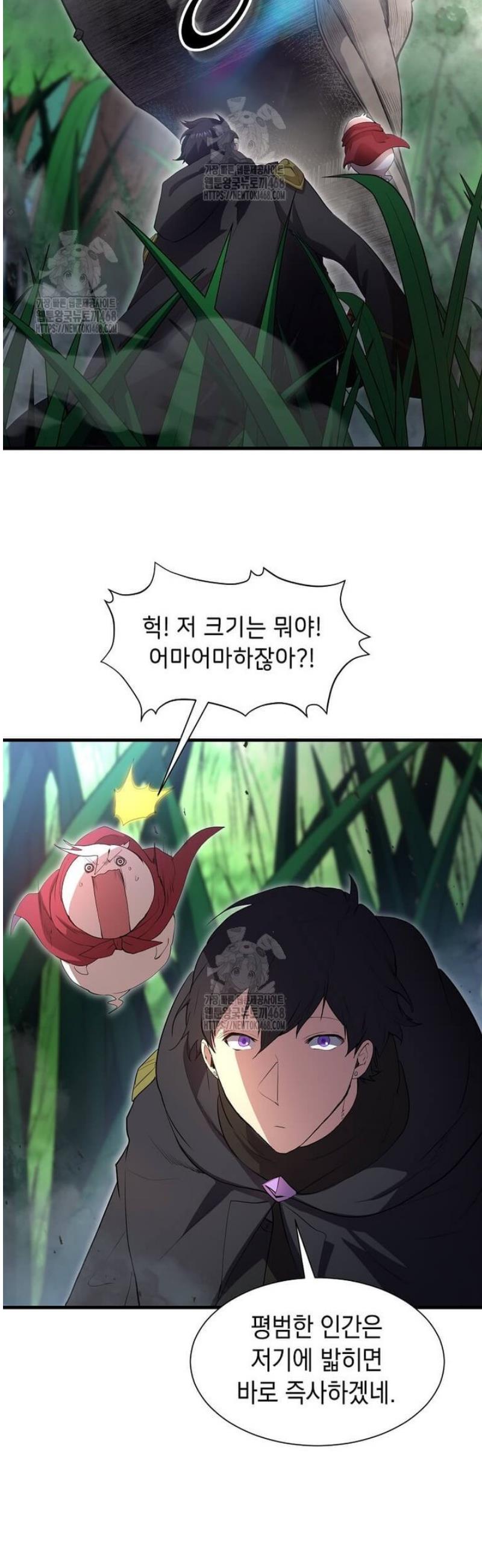 008.jpg