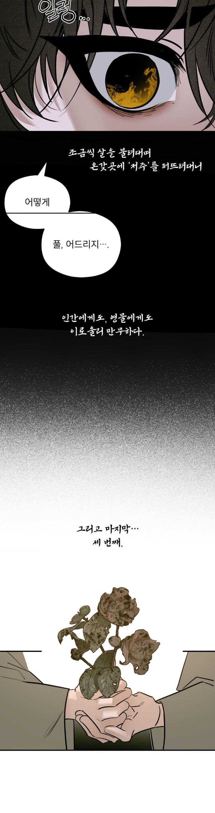 008.jpg