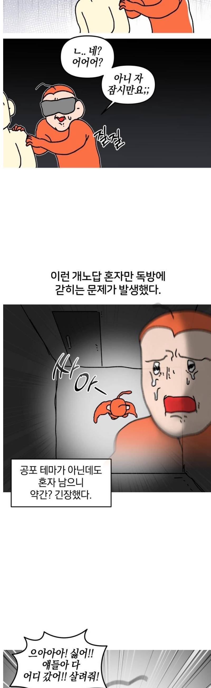 005.jpg