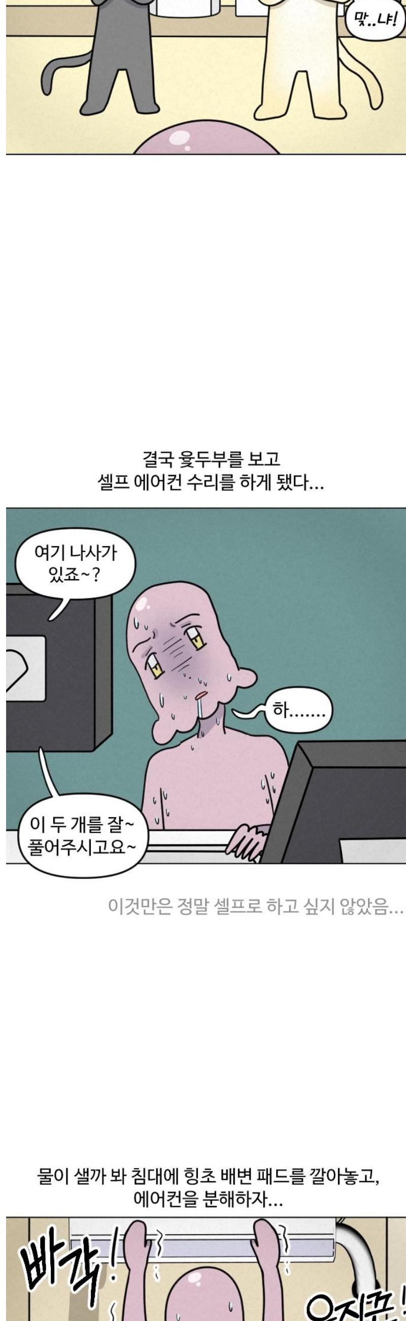 009.jpg