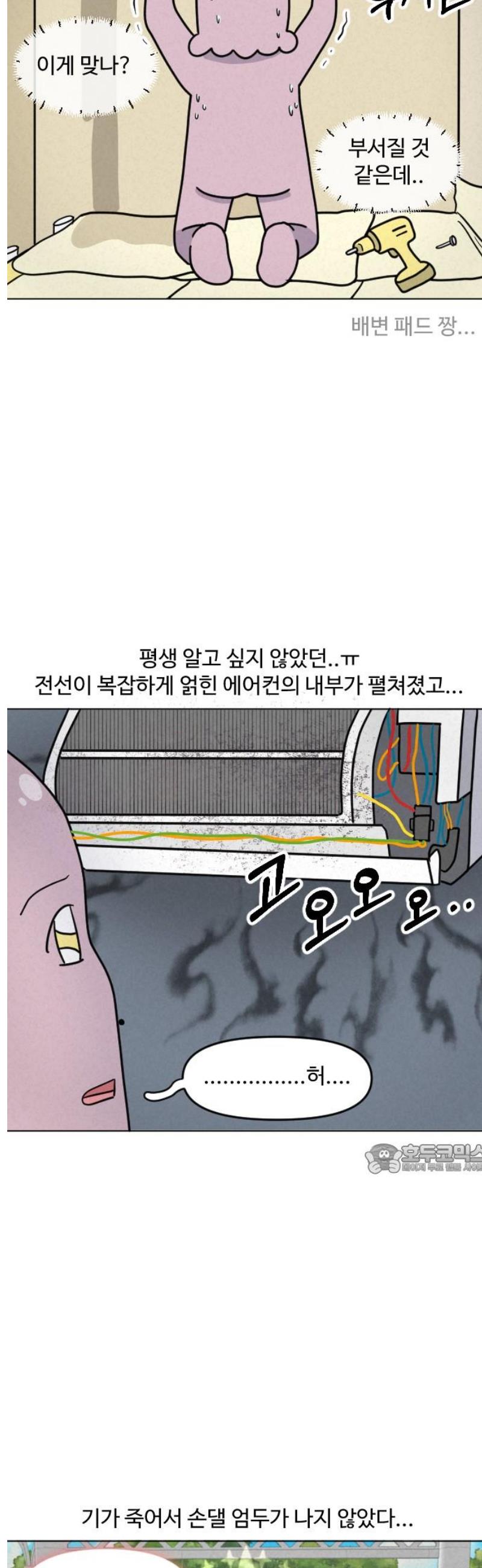 010.jpg