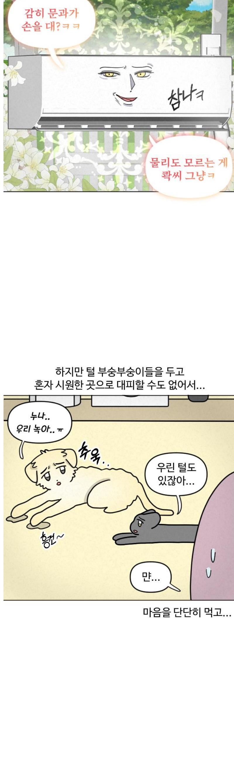 011.jpg