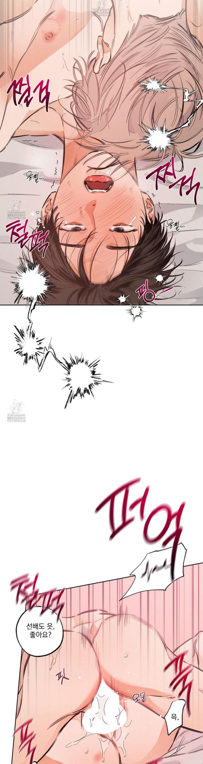 005.jpg